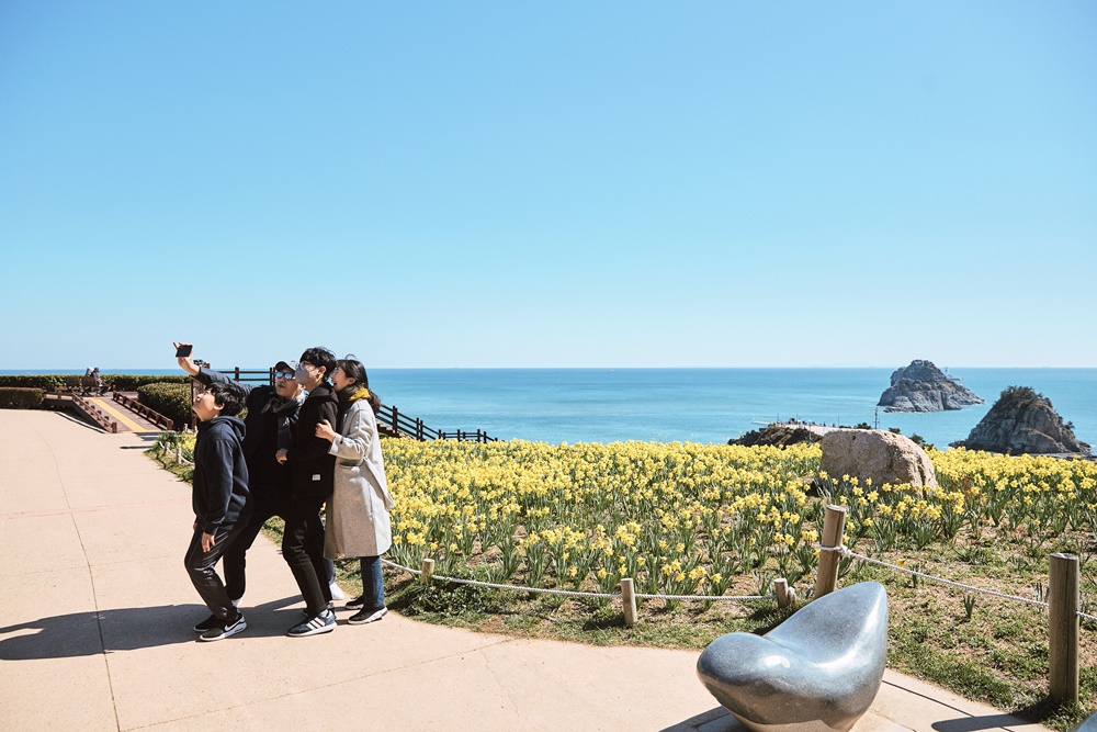 이기대자연마당 수선화_권성훈 (2)